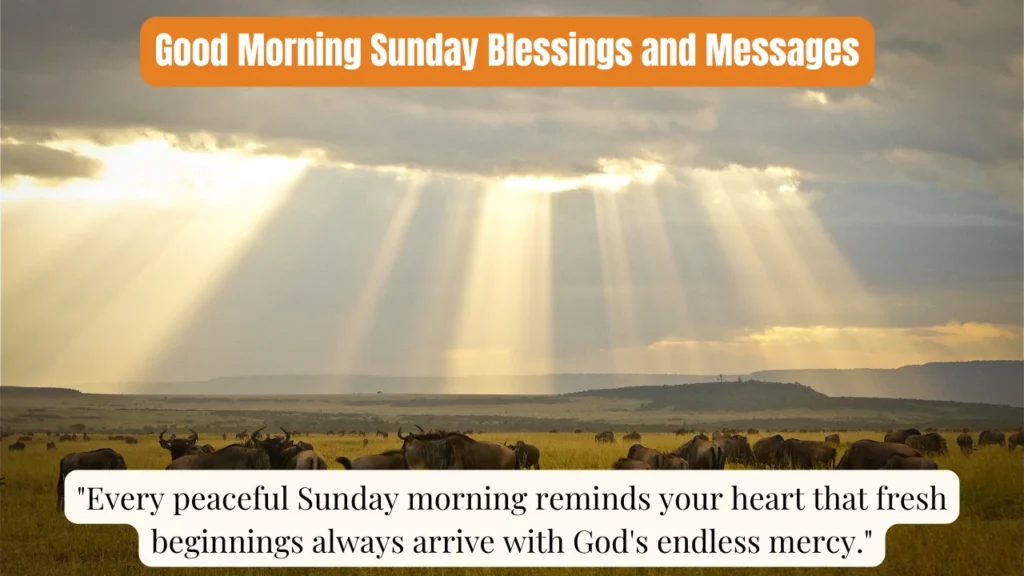 Good Morning Sunday Blessings and Messages