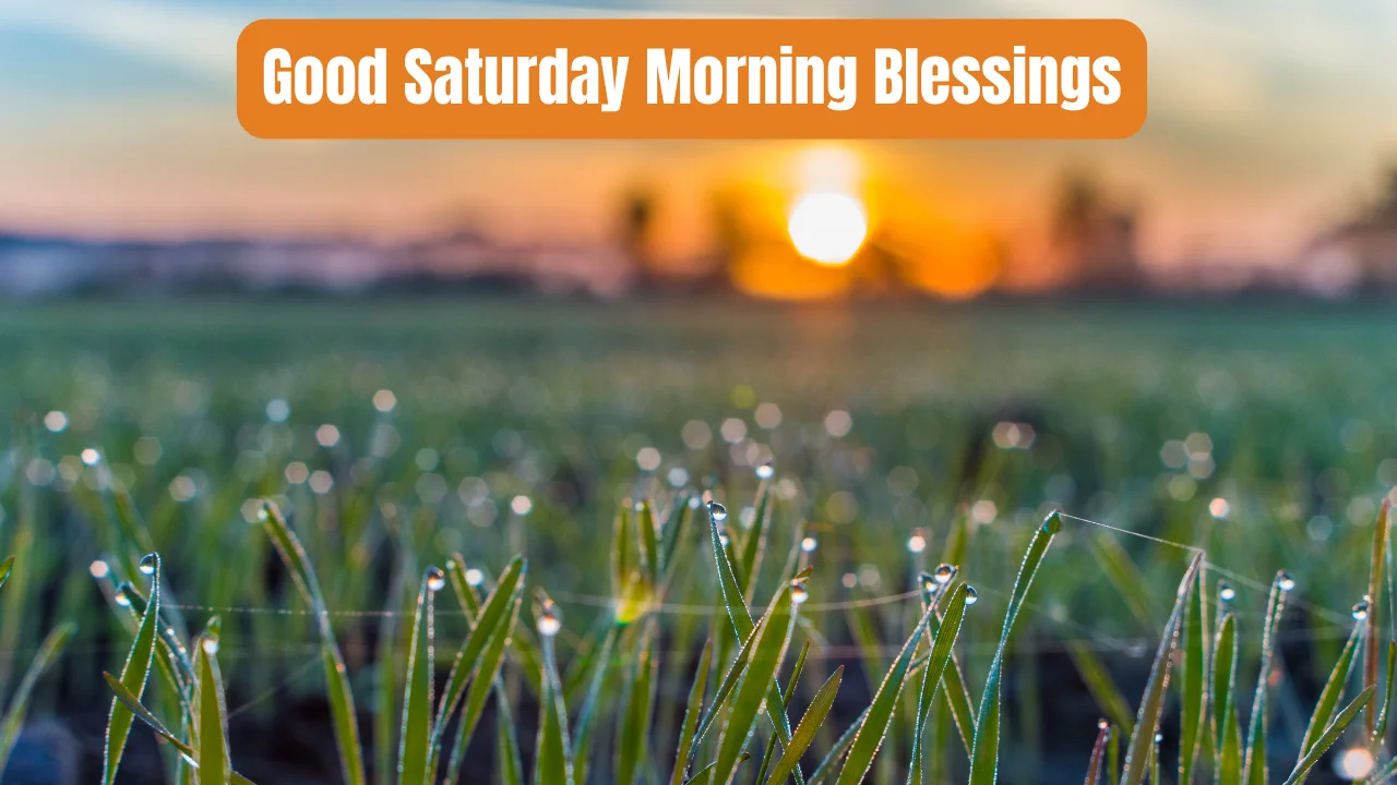 Good Saturday Morning Blessings