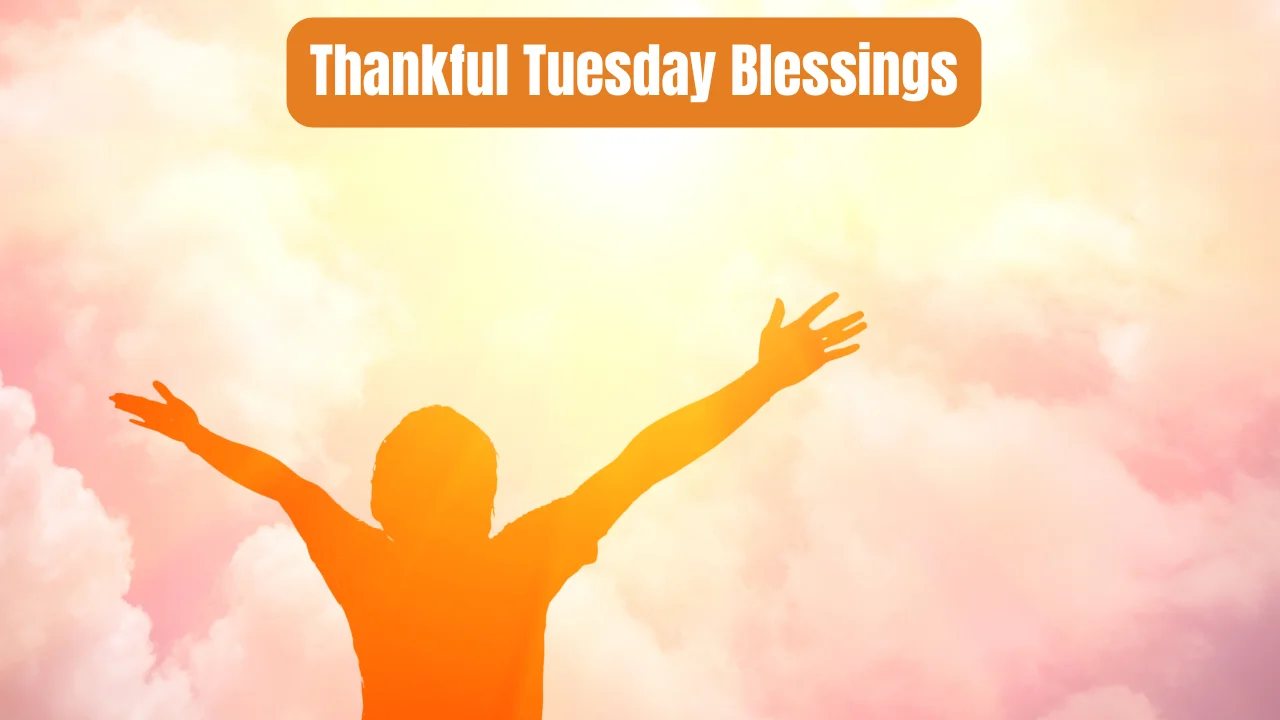 Thankful Tuesday Blessings