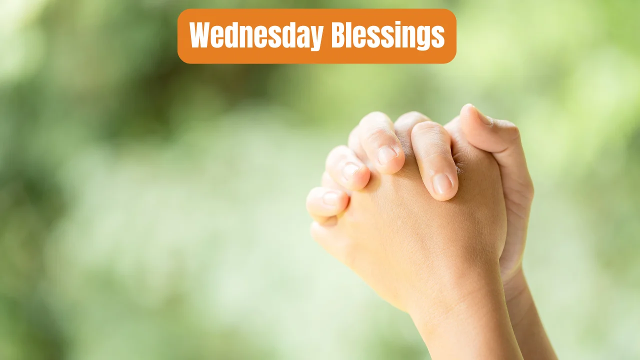 Wednesday Blessings