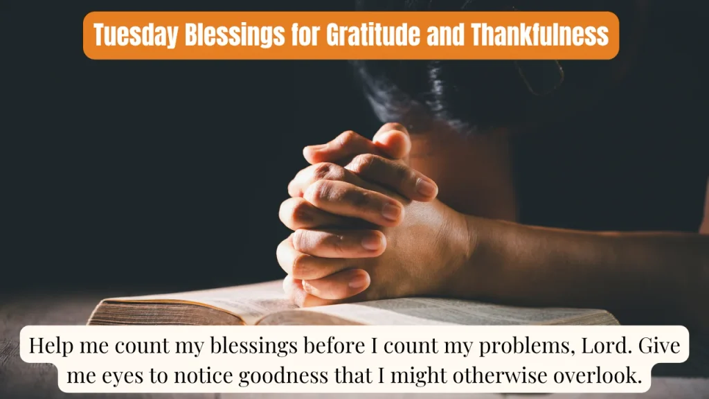 Tuesday Blessings for Gratitude and Thankfulness
