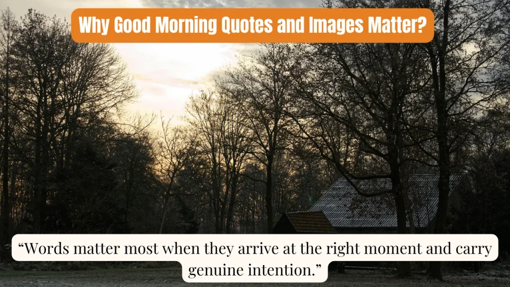 Why Good Morning Quotes and Images Matter?
